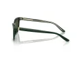 Giorgio Armani AR 8221 617331 55 Women sunglasses