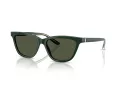 Giorgio Armani AR 8221 617331 55 Women sunglasses