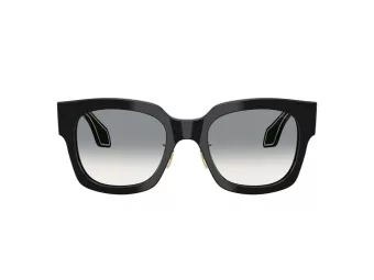 Giorgio Armani AR 8223 500111 51 Women sunglasses