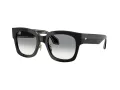 Giorgio Armani AR 8223 500111 51 Women sunglasses