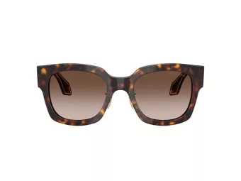 Giorgio Armani AR 8223 502613 51 Women sunglasses