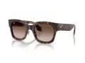 Giorgio Armani AR 8223 502613 51 Women sunglasses