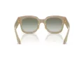 Giorgio Armani AR 8223 61618E 51 Women sunglasses