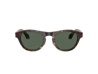 Giorgio Armani AR 8225 502671 49 Men sunglasses