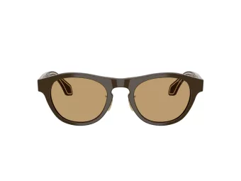 Giorgio Armani AR 8225 619473 49 Men sunglasses
