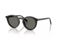 Giorgio Armani AR 8230U 5875R5 48 Men sunglasses