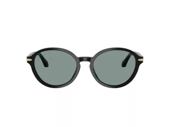 Giorgio Armani AR 8237 587556 53 Women sunglasses