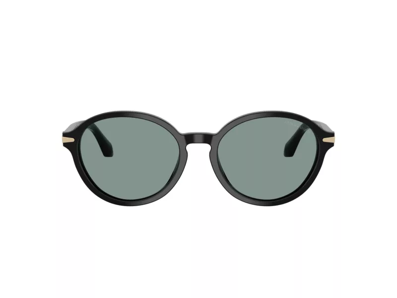 Giorgio Armani AR 8237 587556 53 Women sunglasses
