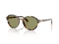 Giorgio Armani AR 8237 623214 53 Women sunglasses