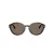 Giorgio Armani AR 8237 623573 53 Women sunglasses
