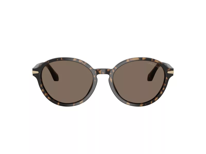 Giorgio Armani AR 8237 623573 53 Women sunglasses