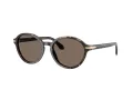 Giorgio Armani AR 8237 623573 53 Women sunglasses