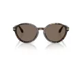 Giorgio Armani AR 8237 623573 53 Women sunglasses