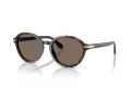 Giorgio Armani AR 8237 623573 53 Women sunglasses