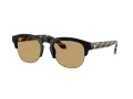 Giorgio Armani AR 8238 587573 51 Men sunglasses