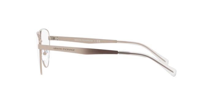 Armani Exchange AX 1051 6108 55 Women glasses