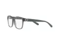 Armani Exchange 3098 8242 53 Women glasses