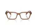 Armani Exchange AX 3116 8358 55 Men glasses