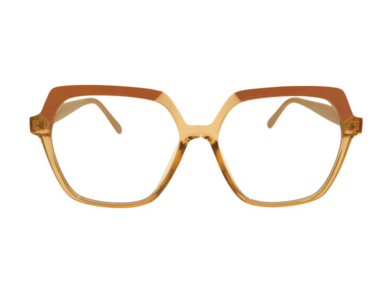 Berkeley BB 2018 C4 55 Women glasses
