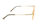 Berkeley BB 705016 C3 48 Women glasses