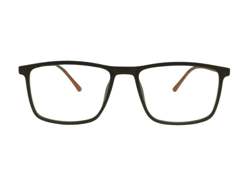 Berkeley BB RS9011 C2 54 Men glasses