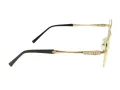 Berkeley BB Y_MO35 C2 53 Women glasses