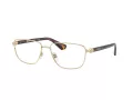 Burberry BE 1393 1109 55 Men glasses