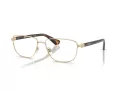 Burberry BE 1393 1109 55 Men glasses