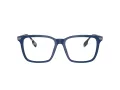 Burberry Ellis BE 2378 4058 55 Men glasses