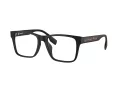 Burberry 2393D 3464 55 Men glasses