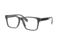 Burberry BE 2393D 4185 55 Men glasses
