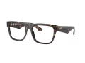 Burberry BE 2411 3002 55 Men glasses