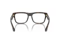 Burberry BE 2411 3002 55 Men glasses