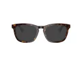 Burberry BE 2417 3002 53 Men glasses