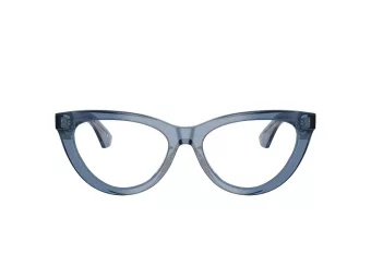 Burberry BE 2418U 4117 53 Women glasses