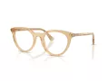 Burberry BE 2429 4167 48 Women glasses