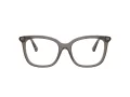 Burberry BE 2430 4160 51 Women glasses