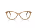 Burberry BE 2431 4164 52 Women glasses