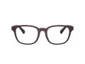 Burberry BE 2433U 4171 54 Men glasses