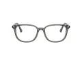 Burberry BE 2434D 4160 53 Women glasses