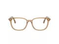 Burberry BE 2434D 4164 53 Women glasses