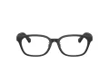 Burberry BE 2436D 3464 53 Men glasses