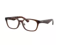 Burberry 2436D 4116 53 Men glasses