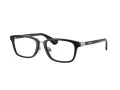 Burberry BE 2437D 3001 53 Men glasses