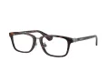 Burberry BE 2437D 3002 53 Men glasses