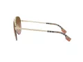 Burberry Ferry BE 3113 110913 59 Women sunglasses