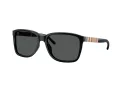 Burberry BE 4181 300187 58 Men sunglasses