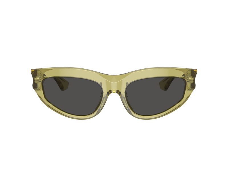 Burberry BE 4425U 411887 55 Women sunglasses