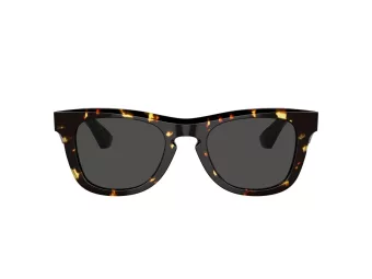 Burberry BE 4426 410687 50 Men sunglasses