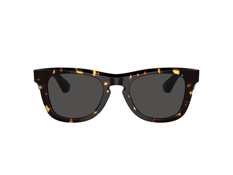 Burberry BE 4426 410687 50 Men sunglasses